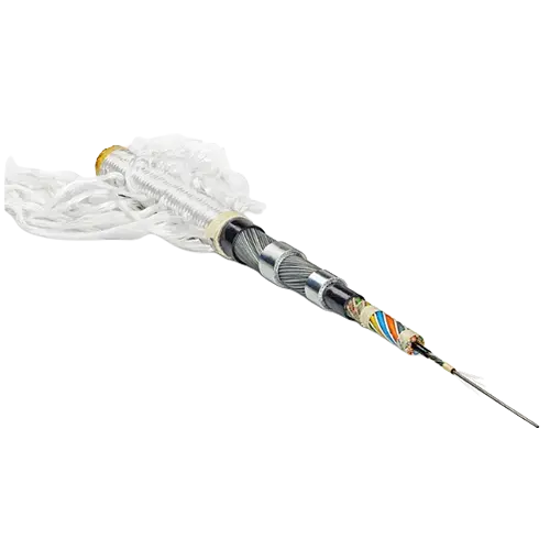 Energy - Seismic Lead-in cable